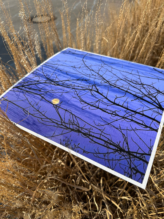 FineArt Print "LILAC SKY"