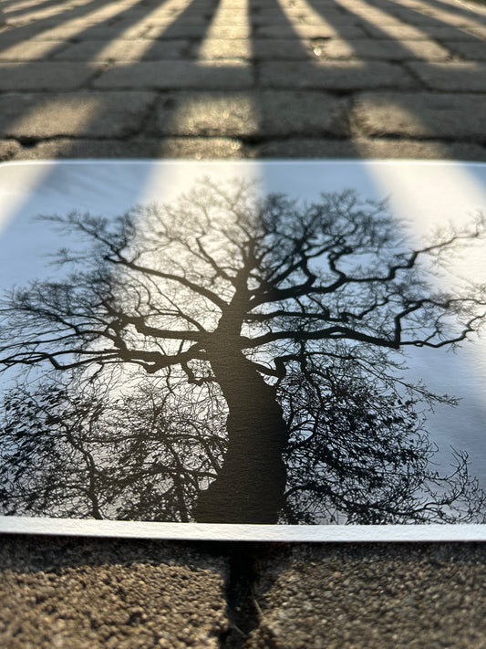 FineArt Print "OLD FRIEND"