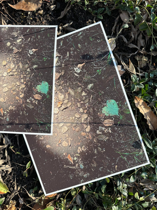 FineArt Print "FOREST FLOOR"