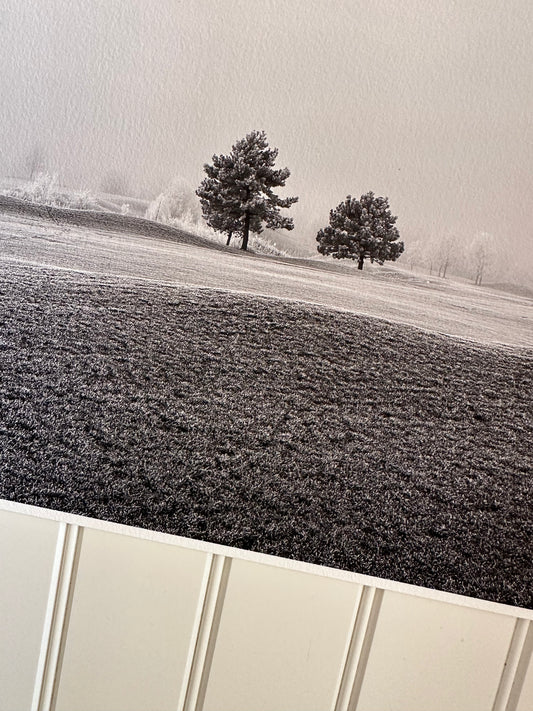 FineArt Print "BETTER TOGETHER"