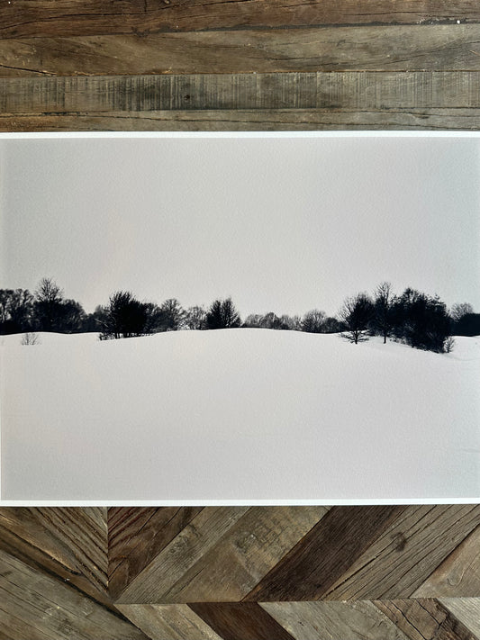 FineArt Print "SNOWSCAPE"