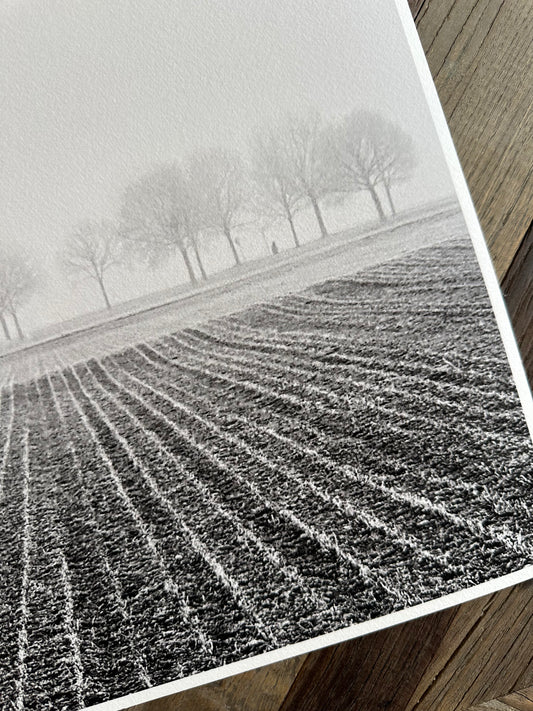 FineArt Print "FOGGY FIELDS"