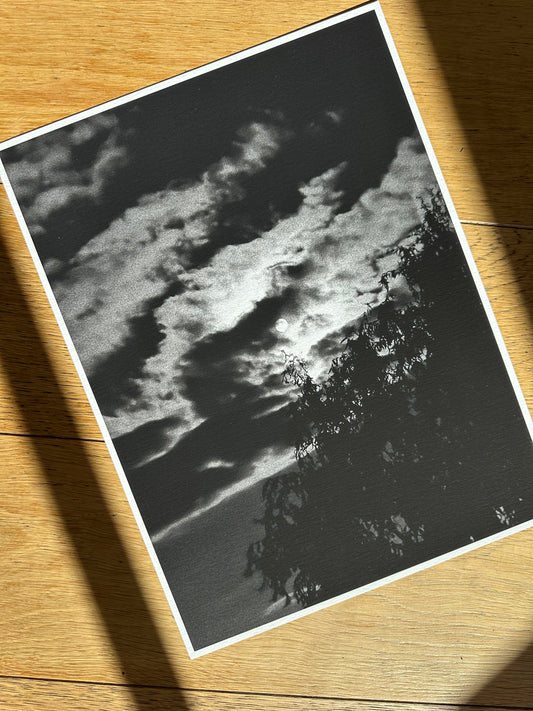 FineArt Print "SHINE BRIGHT"