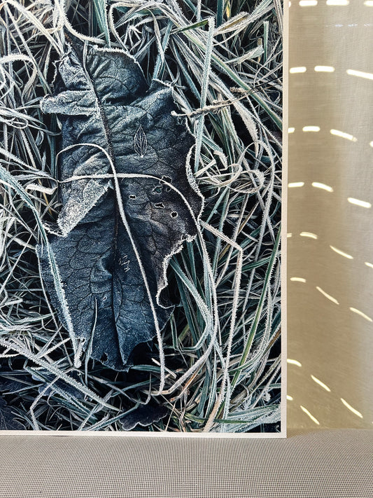 FineArt Print "SHELTER"