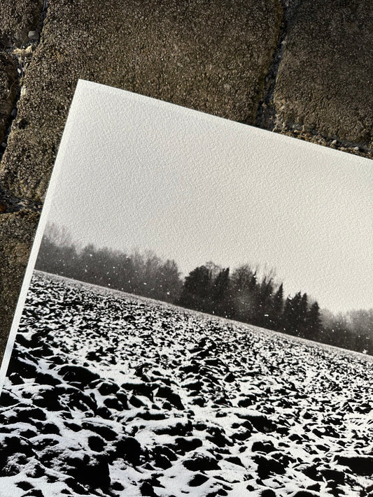 FineArt Print "SNOWFIELDS"