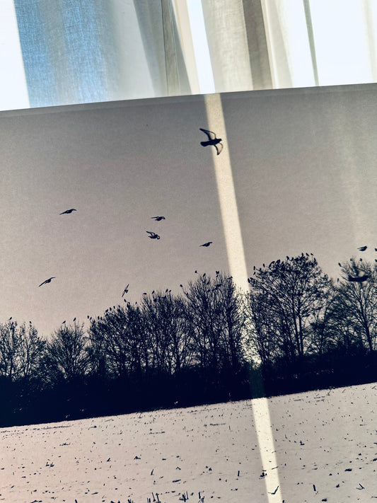 FineArt Print "FLYING MOMENT"