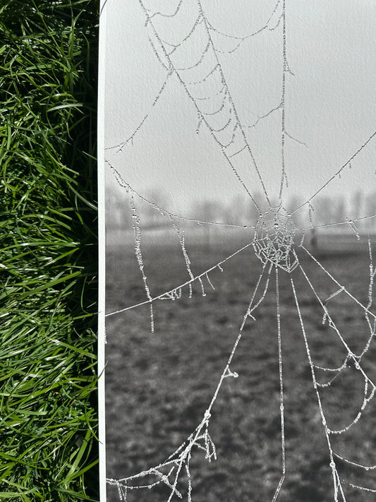 FineArt Print "WWWeb"