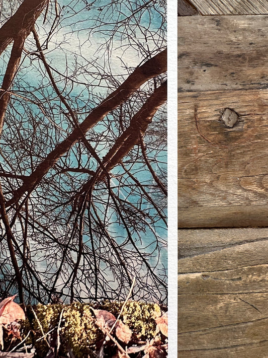 FineArt Print "LAKEVIEW"