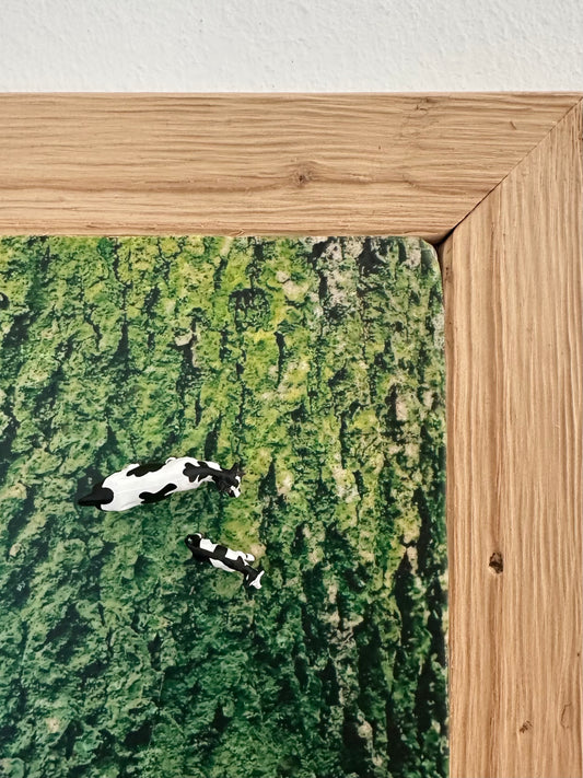 MixedMedia Kunstwerk "KUHs"