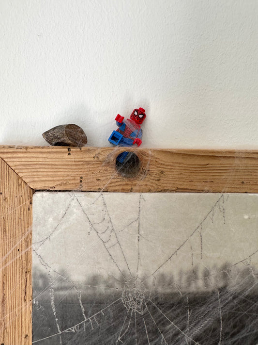 MixedMedia Kunstwerk "SPIDERHOOD"