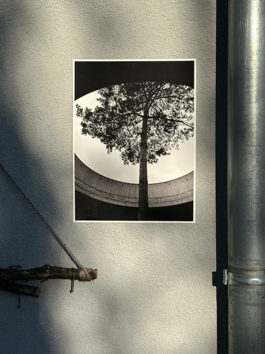 FineArt Print "INTO THE LIGHT"