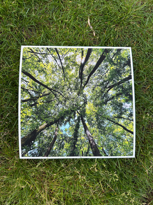 FineArt Print "SOUND OUT"