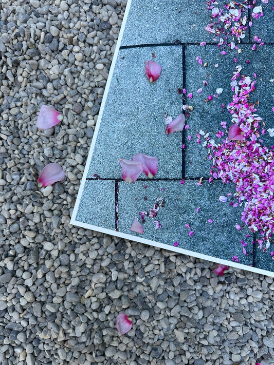 FineArt Print "PINK BLOSSOM"