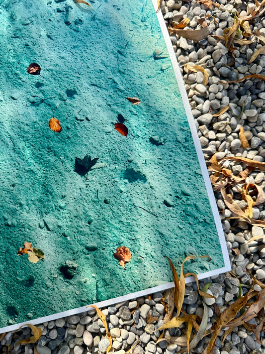 FineArt Print "LAKE BED"