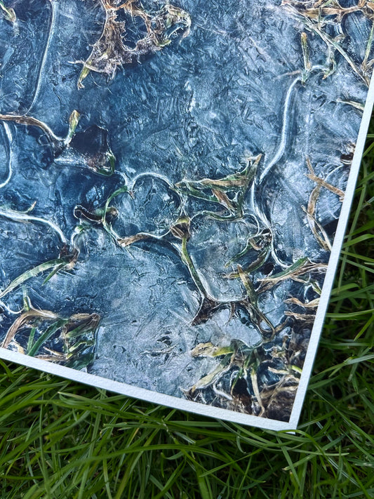 FineArt Print "EISGRAS"