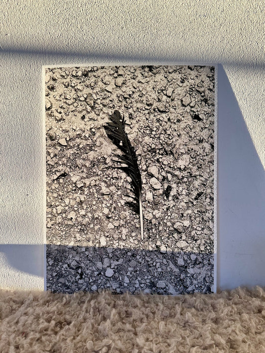 FineArt Print "LEFT BEHIND"