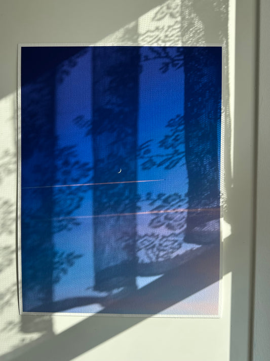 FineArt Print "MOON FLIGHT"