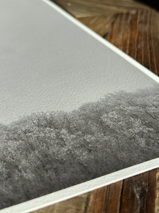 FineArt Print "FROZEN FOREST"