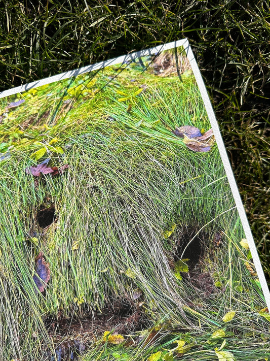 FineArt Print "IMAGINATION"