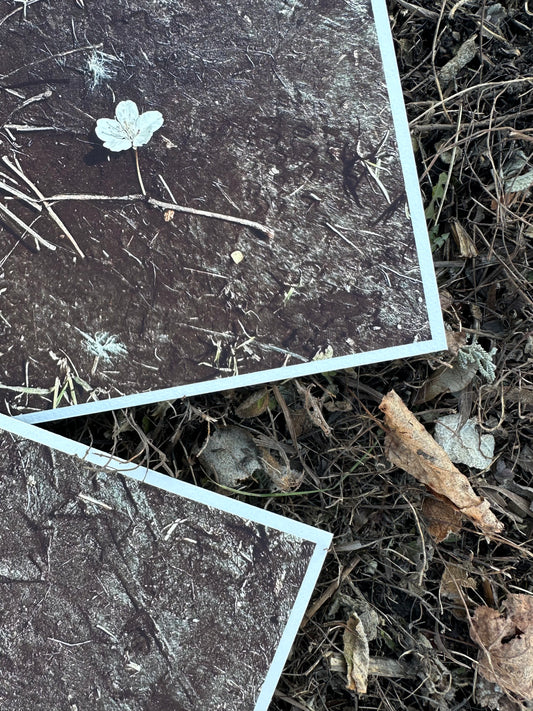 FineArt Print "ANTIDOTE"