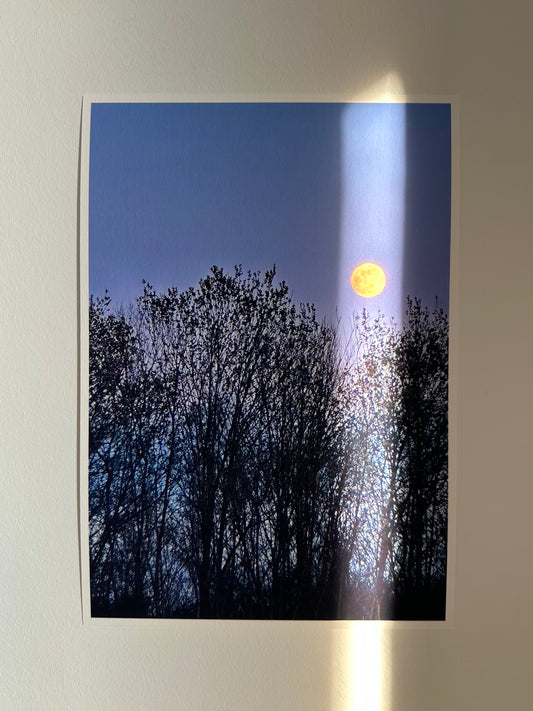 FineArt Print "SUPER MOON"