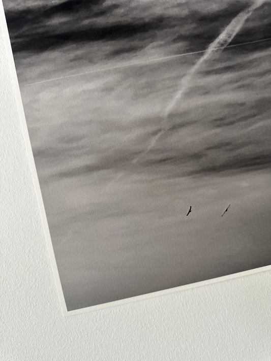 FineArt Print "AFAR"