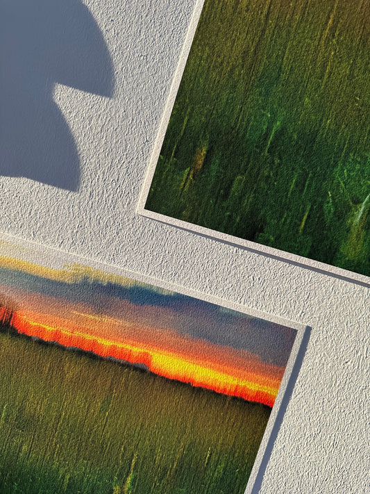 FineArt Print "UNEXPECTED BEAUTY"