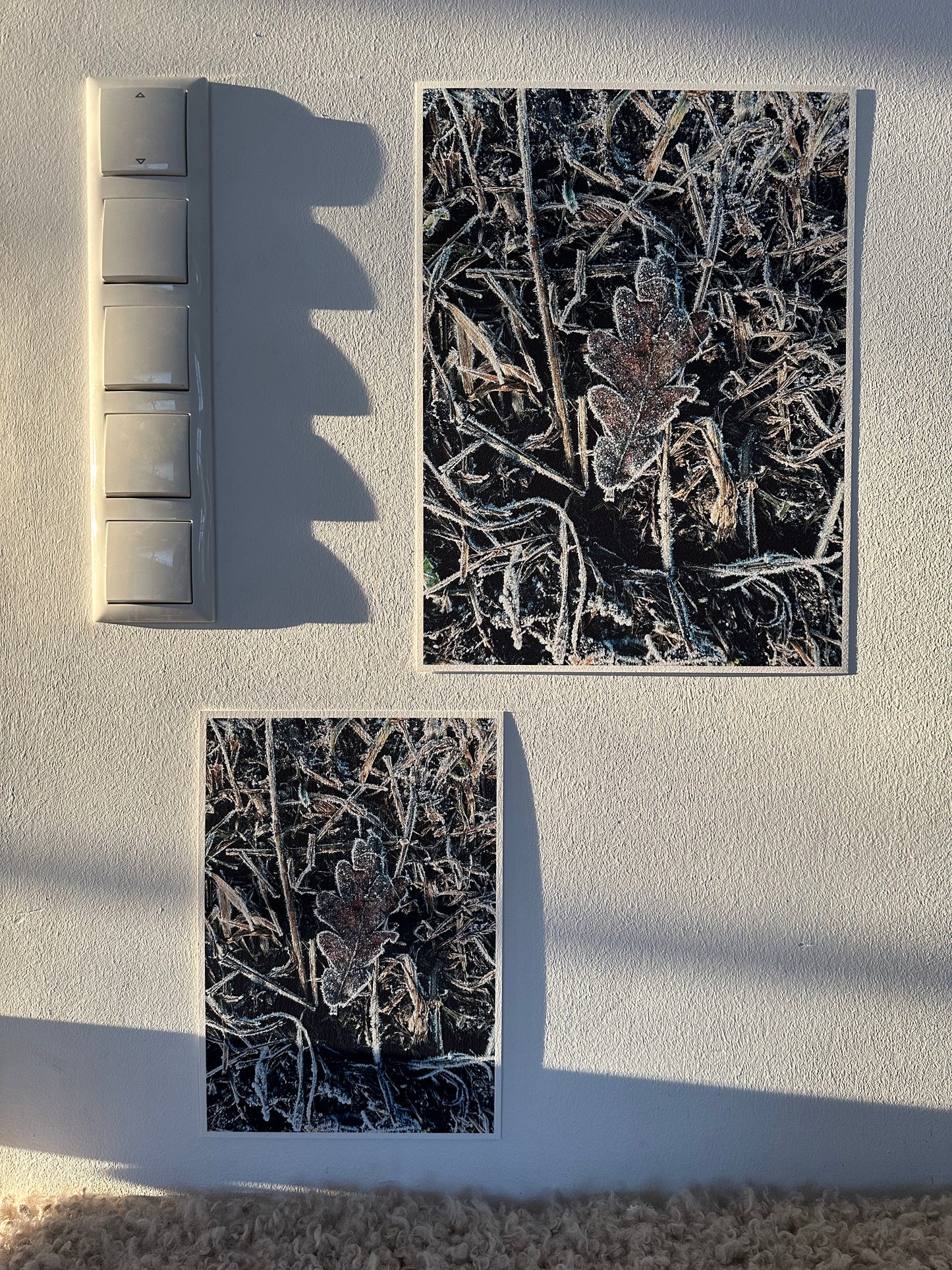FineArt Print "BE-LEAF"