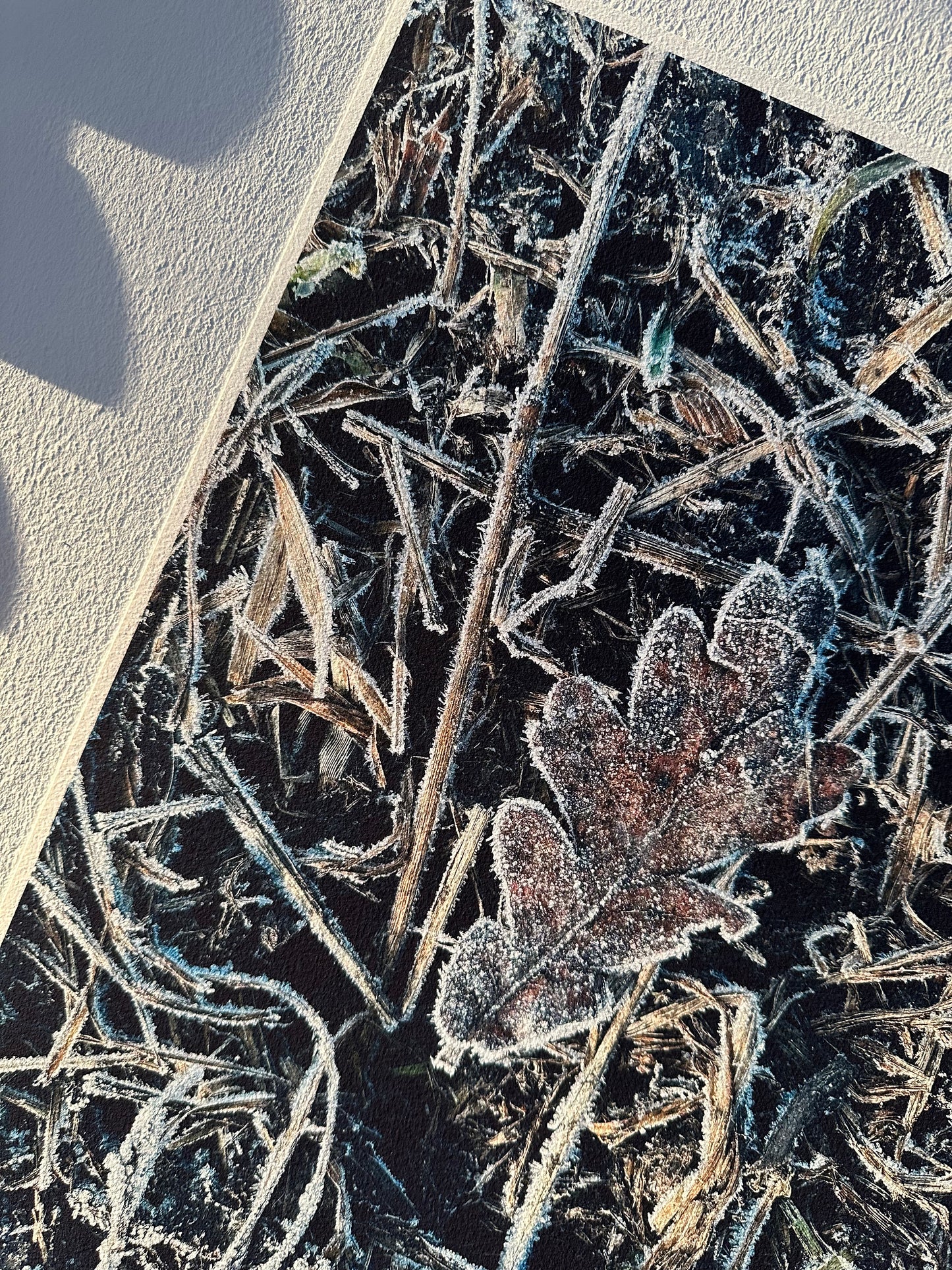 FineArt Print "BE-LEAF"