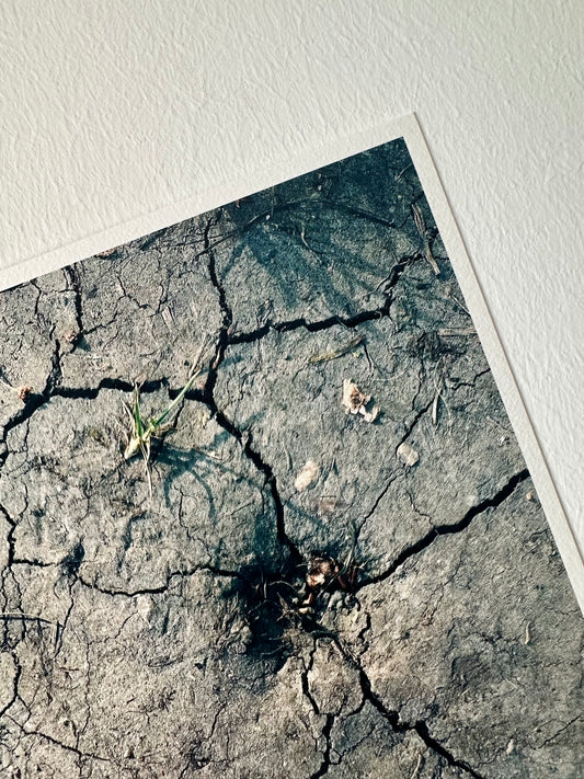 FineArt Print "CRACKS"