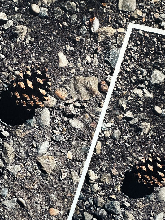 FineArt Print "CONE ALONE"