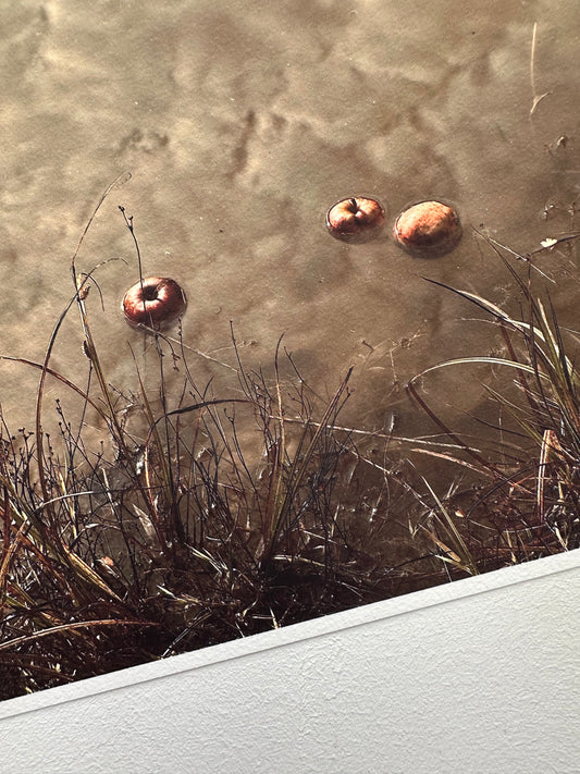 FineArt Print "SKYFALL"