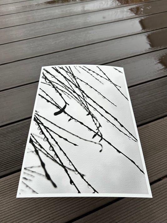 FineArt Print "HAPPY TEARS"