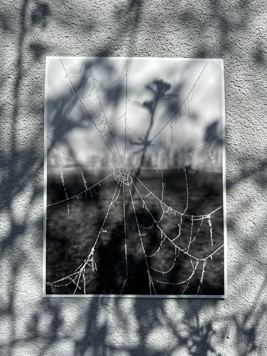 FineArt Print "WWWeb"