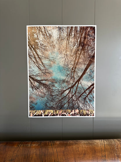FineArt Print "LAKEVIEW"