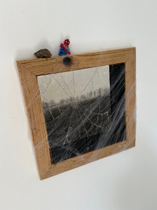 MixedMedia Kunstwerk "SPIDERHOOD"