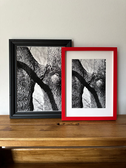 FineArt Print "KISSING TREES"