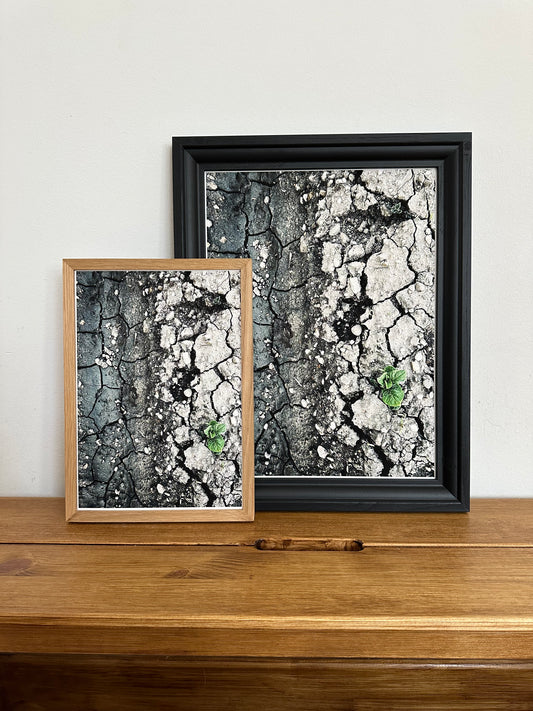 FineArt Print "BROKEN BEAUTY"