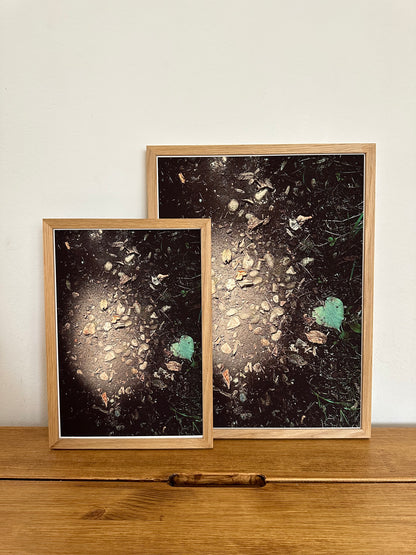 FineArt Print "FOREST FLOOR"