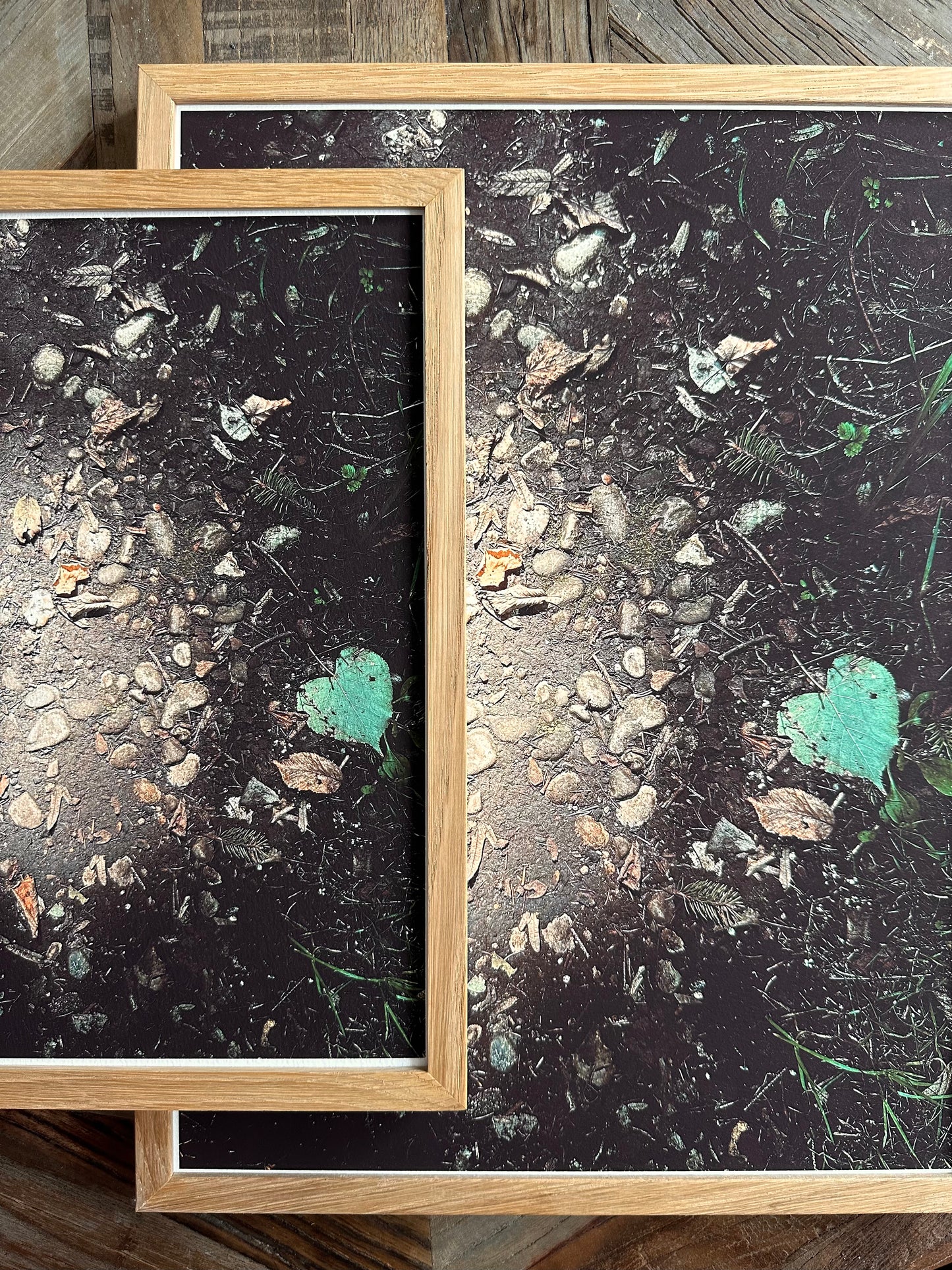 FineArt Print "FOREST FLOOR"