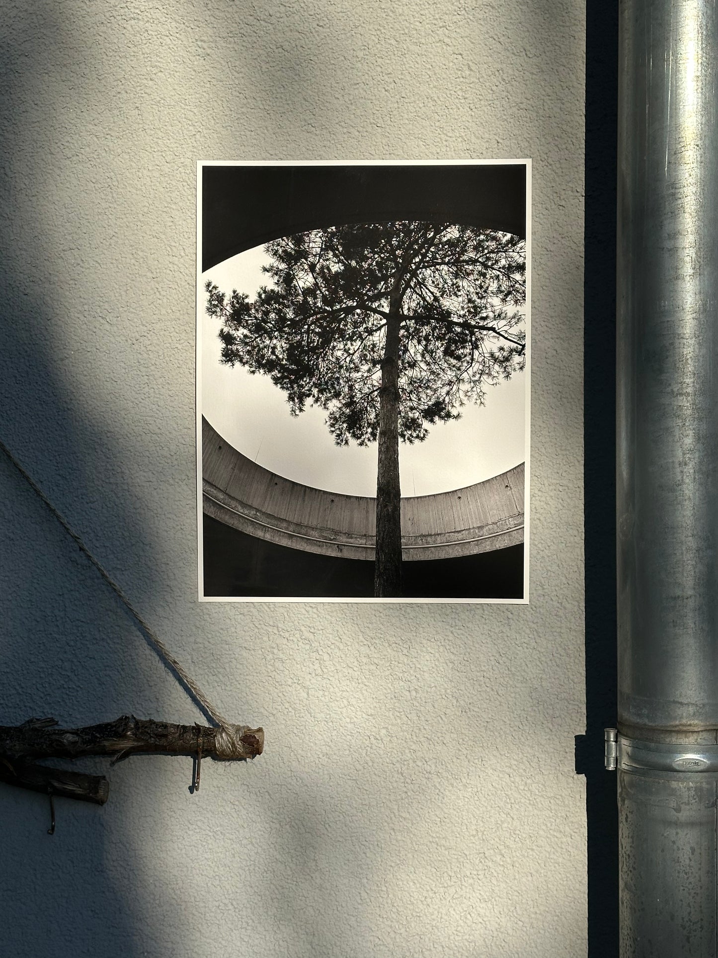 FineArt Print "INTO THE LIGHT"