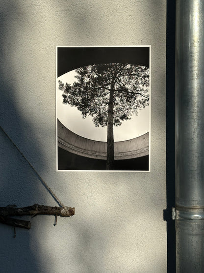 FineArt Print "INTO THE LIGHT"