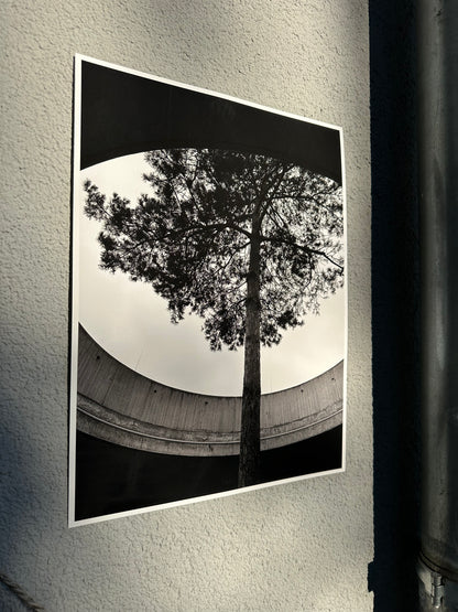 FineArt Print "INTO THE LIGHT"