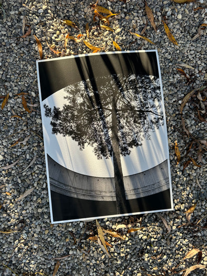 FineArt Print "INTO THE LIGHT"