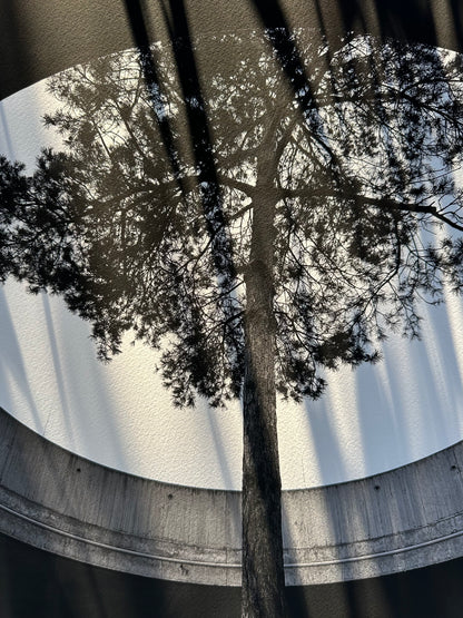 FineArt Print "INTO THE LIGHT"