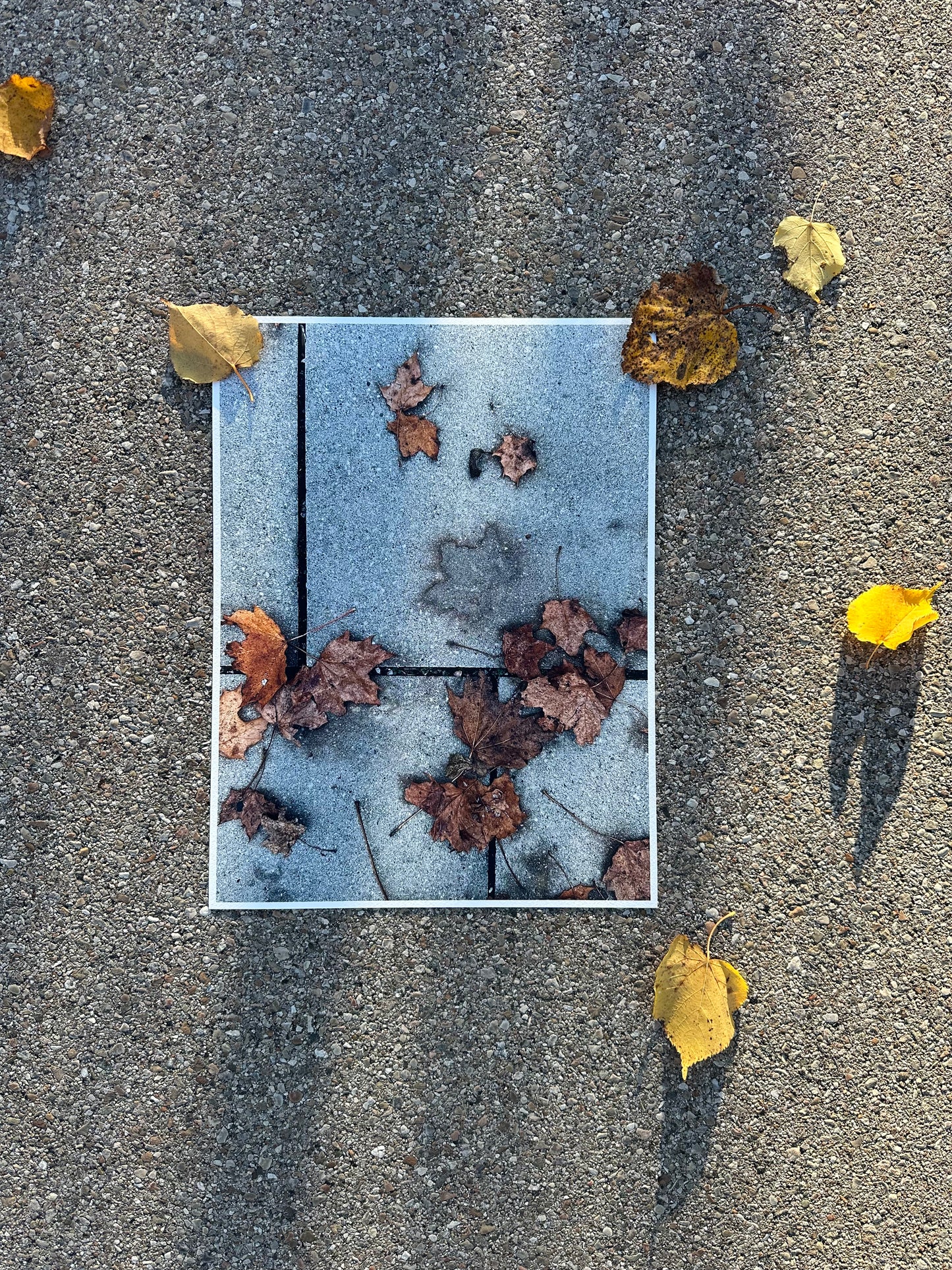 FineArt Print "WHAT REMAINS"