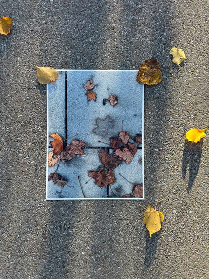 FineArt Print "WHAT REMAINS"