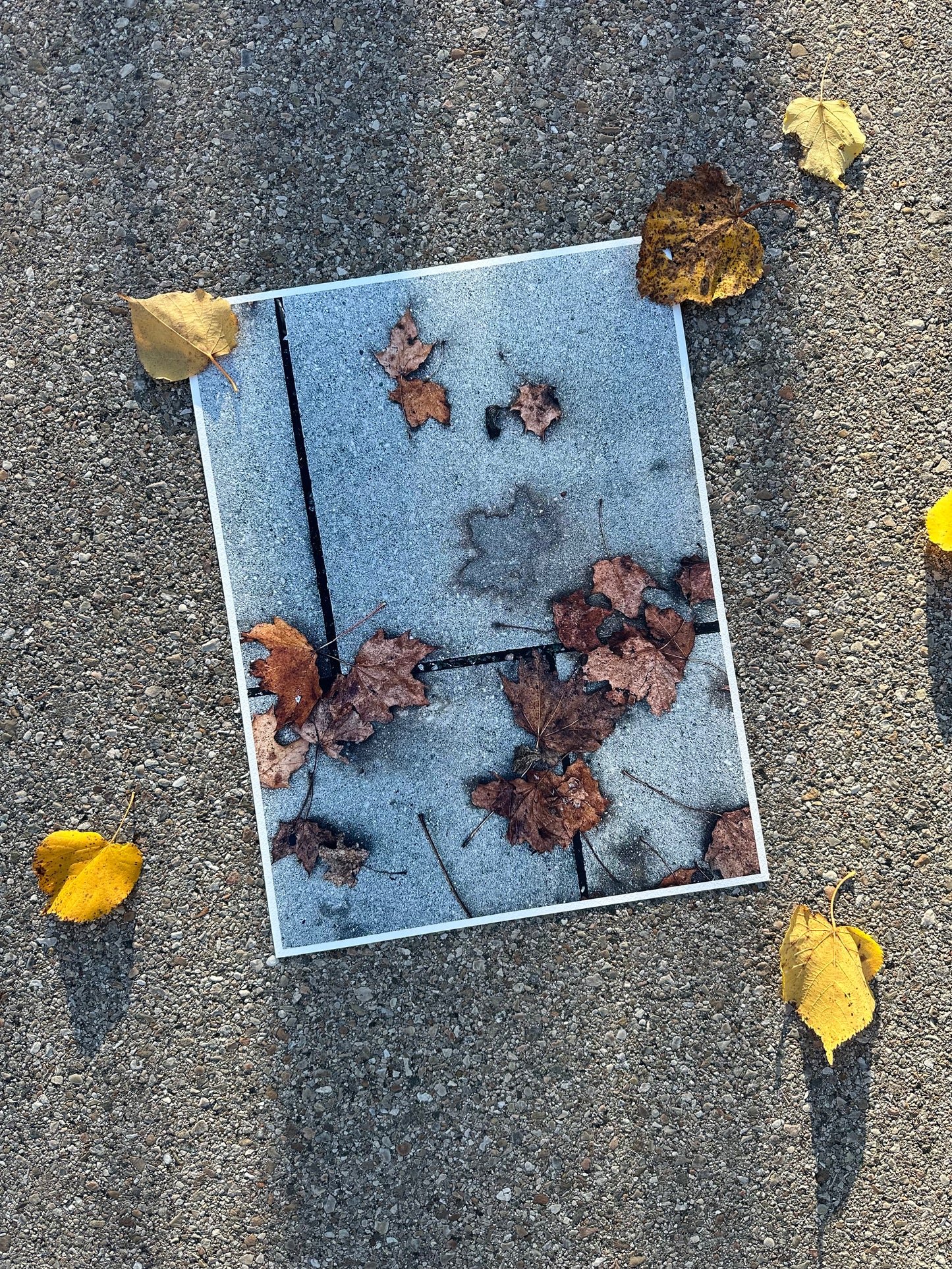 FineArt Print "WHAT REMAINS"