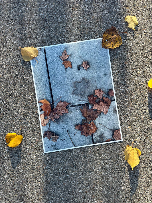 FineArt Print "WHAT REMAINS"