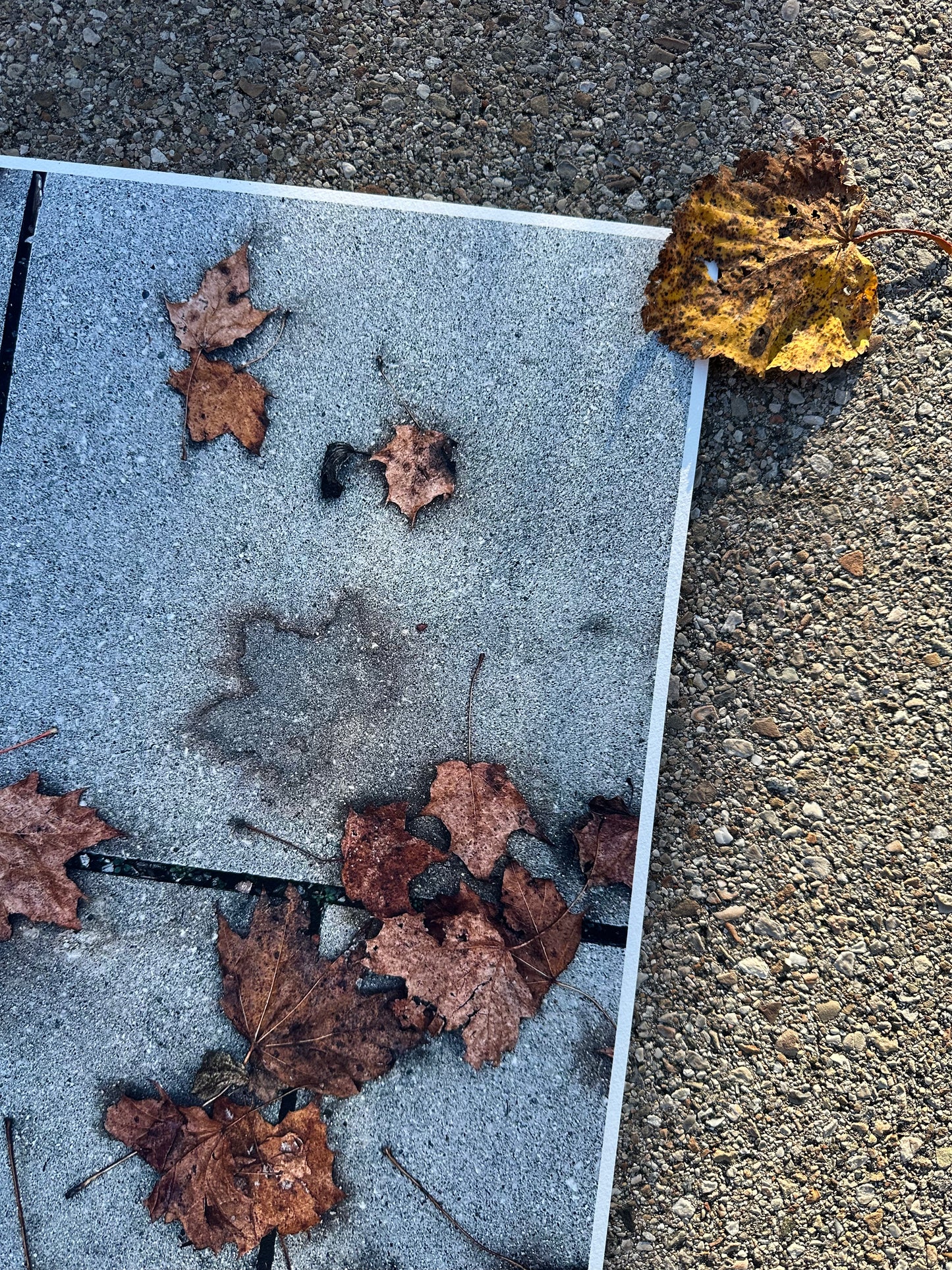 FineArt Print "WHAT REMAINS"